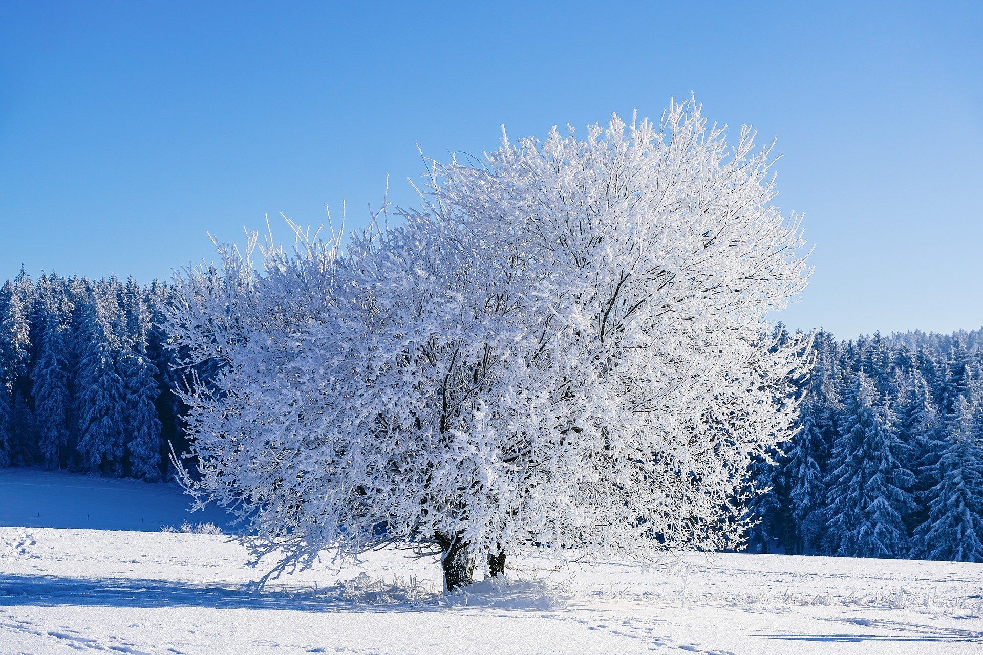 Wintergesprek met Koen Holtzapffel