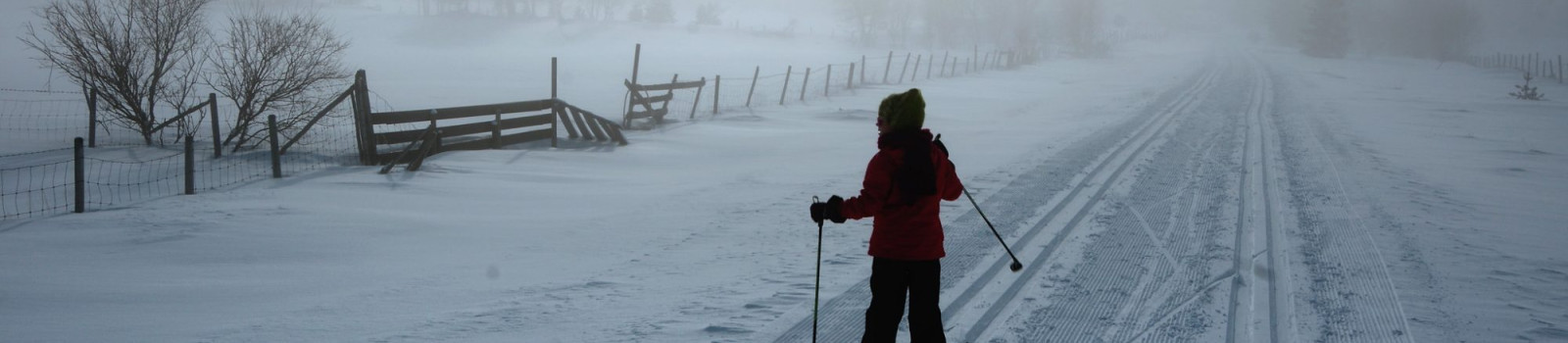 Skiën in de mist: afscheidsbrief van Joost Röselaers